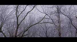 Beautiful freezing rain