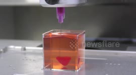 A rabbit size 3D heart is printed at TLV University, lab of Prof Tal Dvir, to be transplanted back to the donor, no more shortage of hearts. Human trials will follow. Tel Aviv, Israel, April 15, 2019