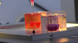 A rabbit size 3D heart is printed at TLV University, lab of Prof Tal Dvir, to be transplanted back to the donor, no more shortage of hearts. Human trials will follow. Tel Aviv, Israel, April 15, 2019