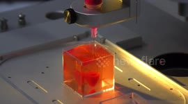 A rabbit size 3D heart is printed at TLV University, lab of Prof Tal Dvir, to be transplanted back to the donor, no more shortage of hearts. Human trials will follow. Tel Aviv, Israel, April 15, 2019