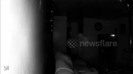 Paranormal Video Footage ( Full body apparitions )