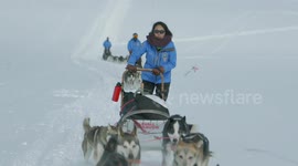 Fjällräven Polar event sees over 200 sled dogs travel 300km through Scandinavia