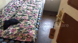Trekking in Nepal. Be ready for this kind of 5* room.