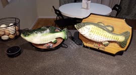 Texas man installs Amazon Alexa into a talking fish