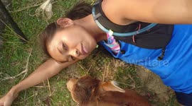 How to make cow