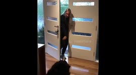 Dog Reunites With Owner After 6 Weeks