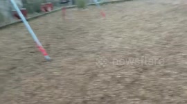 YouTuber Viva Frei Takes epic wipeout trying to impress neighbourhood kids with swing trick