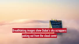 Breathtaking images show Dubai's sky scrappers poking out from the cloud cover