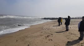 Horsey Beach
Popular For Seal Watching
Horsey Beach is one of the many unspoilt and wonderfully quiet sandy Norfolk beaches on the east coast of the UK.