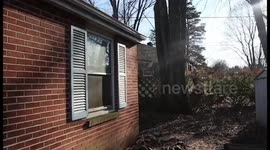 Foreclosure adventures-Something's moldy