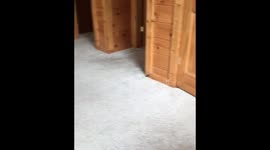 Puppy Summoning Device