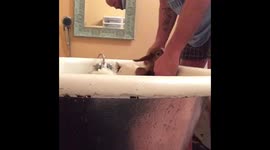 Bottle Babies first bath
