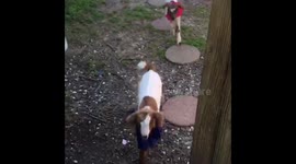 Bottle Babies at 1 week!