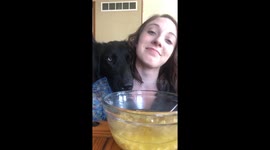 Adorable blue-eyed dog redefines begging for food