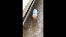 'Oh God!' - Human waste left all over property interior
