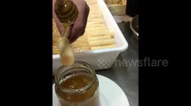 traditional Ice cream with honey served in a different way by the chefs