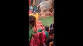 Bull tramples devotees at religious ceremony in India