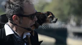 Singing dog: Dog Man (DogMan TV) with his guitar and his singing dog spotted near the recently burned Cathedral Notre-Dame de Paris. 19 april 2019
