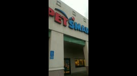 Little girl saw that camels were allowed in Petsmart so she took her pet