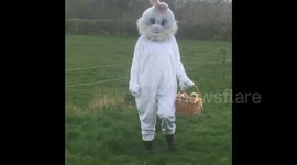 When a horse gets a visit from the Easter bunny!