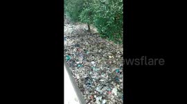 Video shows horrific scale of plastic pollution in Indonesian mangrove swamp