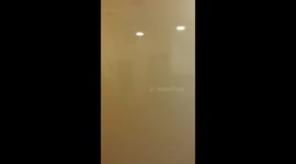 Yellow vests smoke bomb Islington police station