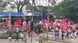 Rogue elephant causes panic during political party procession