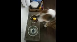 Darla's first Easter egg hunt