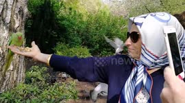 A Turkish tourist feeding parrot at St James park