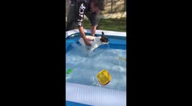 Just keep swimming