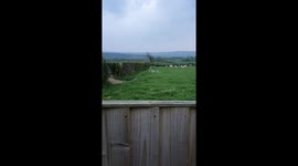 Spring is here! Carefree little lambs jump around field in Wales