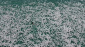 Drone shark protection while solo surfing in South Australia