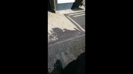 man with his geese on easter have fun