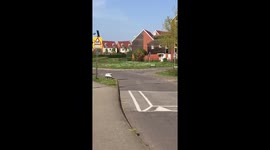 They’re learning! https://t.co/3QzEC5RPwU