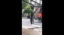 Bee swarm round queen bee