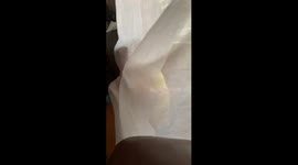 Baby plays