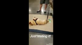 Best Bed Tester