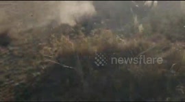 Huge lion fight in the Maasai Mara - fight for territory and pride