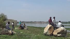 Jumbos enter pool to cool down as mercury heads north in India