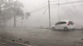 Heavy rain and strong winds lash northern Thailand amid deadly tropical storm