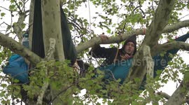 Defiant Extinction Rebellion protesters remain in trees above Parliament Square