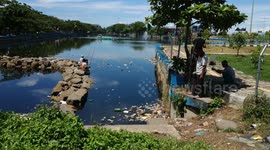 a number of anglers in the town of Padang fishing in an artificial lake filled with plastic waste