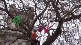Parliament Square tree is being occupied as the speaker demands Citizens Assembly and talks about letters to MPs