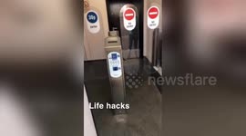 Woman desperate for toilet uses dog to get in public bathroom