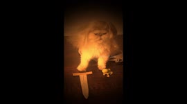 Game of Thrones Cat