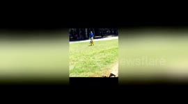 Newsflare Edit - omg please make my cousin go viral ???? #HappyEaster ???????? https://t.co/WvipRq7bT4