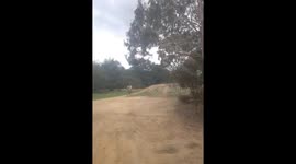 kid does jump on bmx