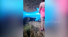 Shocking video shows venomous adder swimming next to children