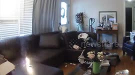 US dog starts fire by chewing on box of matches