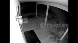 Over-excited pup slams into glass door at Arizona home